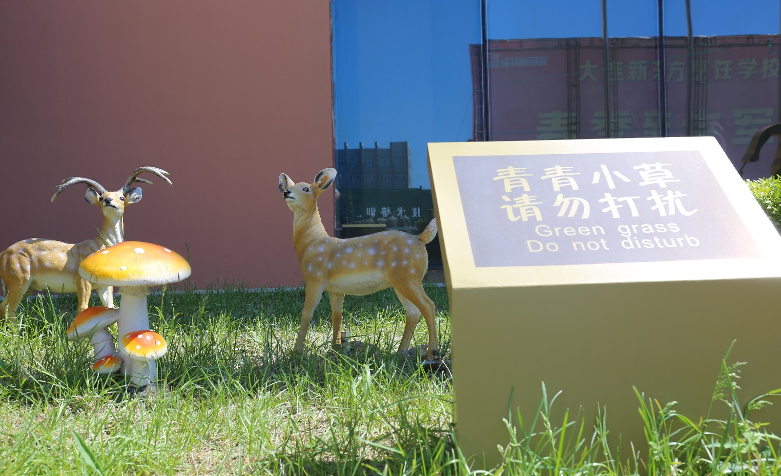 大连新东方校园环境