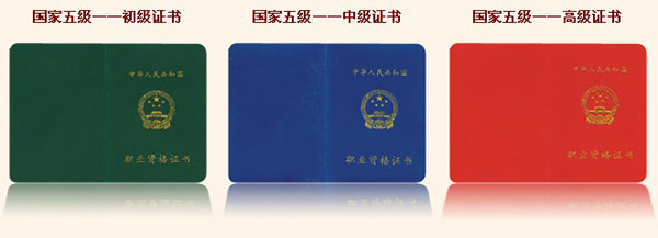 在哪里学厨师 厨师证 
